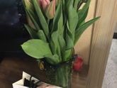 Девочки делитесь)
