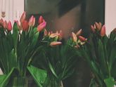 С наступающим праздником!💐💐💐