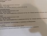 Мазок на микрофлору