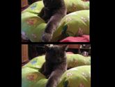 Вот для кого...