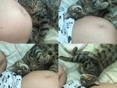 Доброе утро девочки ???