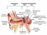 «Как разложить уши», или Как избавиться от заложенности ушей