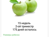 15 неделька😁