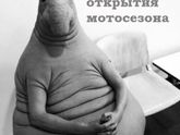 Ну очень жду?