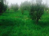 Привет.кто