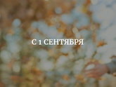 Всех с новым учебным годом