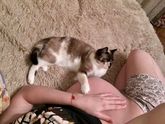 Животные🐶🐹🐈