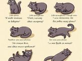 для любителей кошек))
