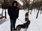 Любовь к собакам неизменна 🐕🌸