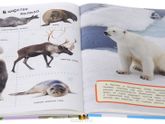 развивающие книги, энциклопедии...