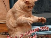 День сюрпризов)