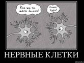 Успокоительное и ГВ