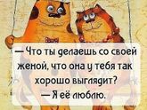 Уже совсем нерегулярная рубрика- картинки, настроение.