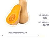 33 недели 🤰