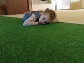 День рождения школы йоги.