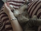 Добрый понедельник❤️