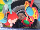 Вовчику 7 месяцев и вообще про нас