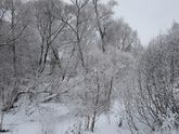 Я на днях попала в новогоднюю открытку