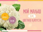 Наши #27# недель, и приём врача!