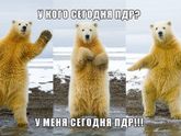 Пдр