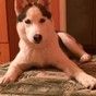 Моя любовь 😍😍😍
