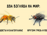 кто то пробовал этот орифлейм ЭКСПРЕСС КАРЬЕРА?