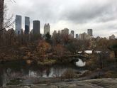 🇺🇸 Каникулы 3-4 день (NY и перелёт NY-Orlando)