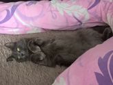 очень удобная подушка)))