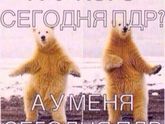 ПДР. 40 недель