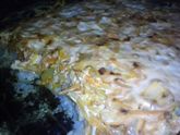 Запеканка с фаршем и рисом