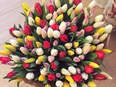 С праздником вас мои