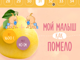 31 нелелька