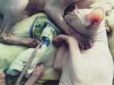Ассаляму алейкум ва рахматуЛлахи ва баракатух!!!сестры?