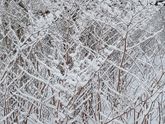 Я на днях попала в новогоднюю открытку