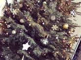 2017 🎉🎄