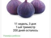 Всем привет?