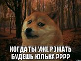 Эх