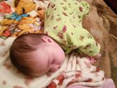 Мой тигреночек:**