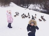 Приехали в Москву)