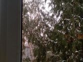 Вот и у нас за окном