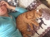Девочки,у кого как коты