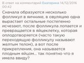 Приветик!🌺