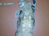 Милота)))