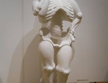 широкая кость))