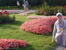 IMG_20160205_163142_20