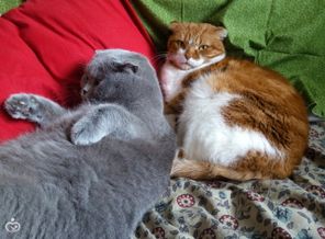 IMG_20170207_230452_418