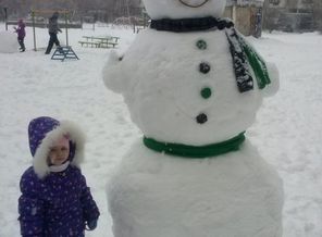 CAM00606