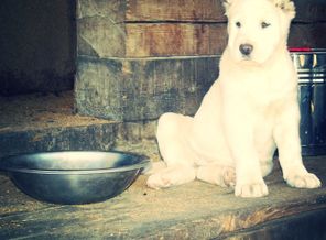photofacefun_com_1463323107