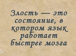 image (41)