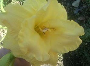WP_20141002_003